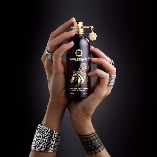 Montale Arabians Tonka - Probe