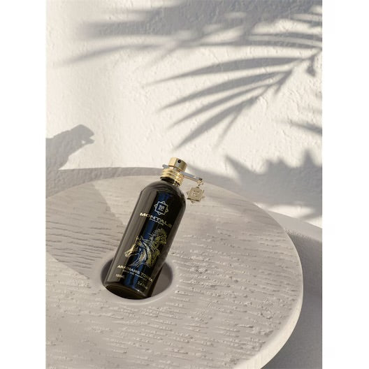 Montale Arabians Tonka - Probe