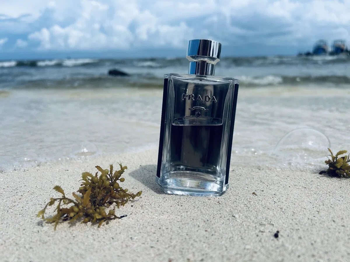 Prada L'Homme - Probe